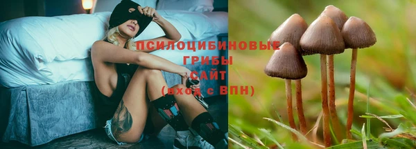 Альфа ПВП Армянск