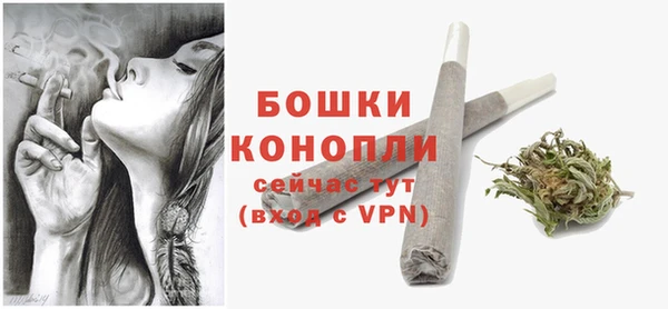 гидра Арсеньев