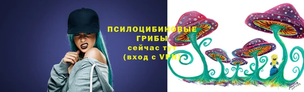 Альфа ПВП Армянск